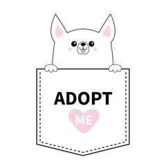 Adopt me. Chihuahua dog in the pocket. Holding paws. Pink heart. Cute cartoon animals. Puppy pooch character. Dash line. Pet animal collection. T-shirt design. Baby background. Flat design