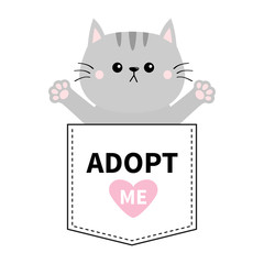 Gray cat hug in the pocket. Adopt me. Pink heart. Cute cartoon animals. Kitten kitty character. Dash line. Pet animal collection. T-shirt design. Baby background. Isolated. Flat design