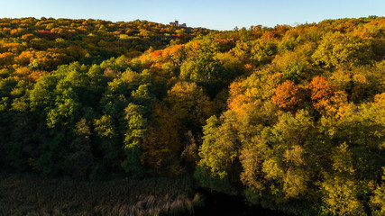 Fototapeta premium Golden autumn background, aerial drone view of forest with yellow trees and beautiful lake landscape from above, Kiev, Goloseevo forest, Ukraine 