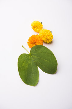 Indian Festival Greeting Card - Happy Dussehra, showing golden leaf and flowers on moody background. .