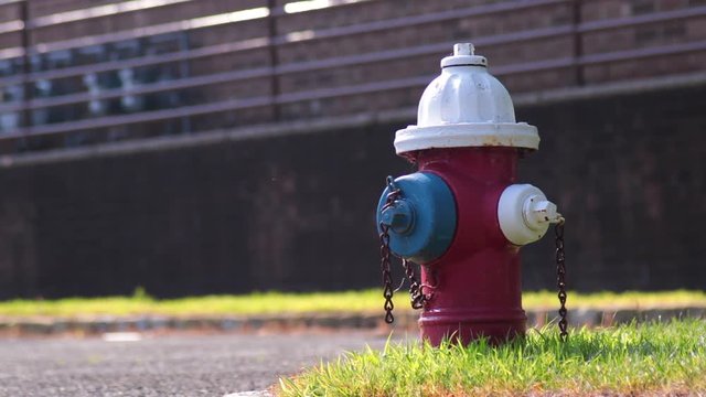 White blue and red fire hydrant framed right building background