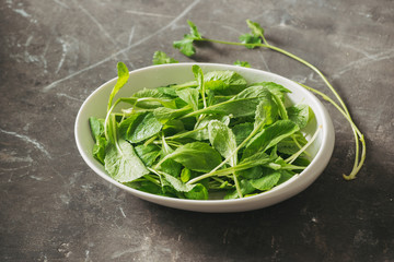 Fresh organic micro greens in white plate, food closeup