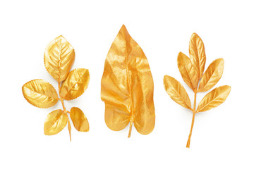 Fototapeta na wymiar golden leaf design elements.