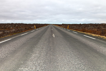 Asphalt road on the beautiful landscape in the east of Iceland.