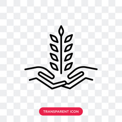 Wheat vector icon isolated on transparent background, Wheat logo design
