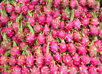 Top view Dragon Fruit on the market, Thai fruit
