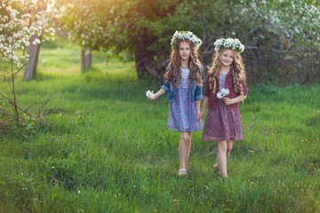 Fototapeta premium Two cute little girls friends with wreath of flowers in a blooming apple orchard
