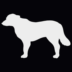 White silhouette of a dog with a long snout on a black background