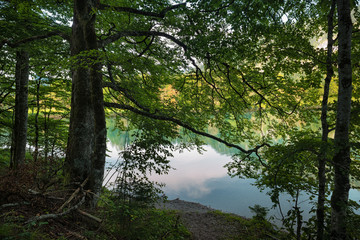 Offensee im Salzkammergut 