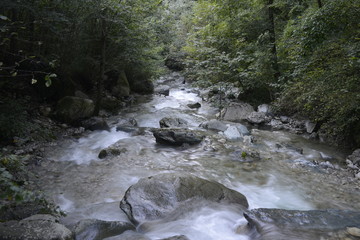 tratti di natura