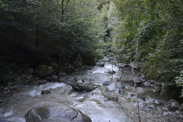 tratti di natura