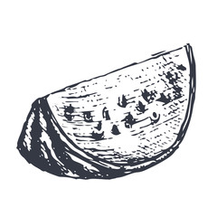 Watermelon slice. Hand drawn sketch in grunge style