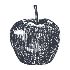 Apple. Hand drawn sketch in grunge style