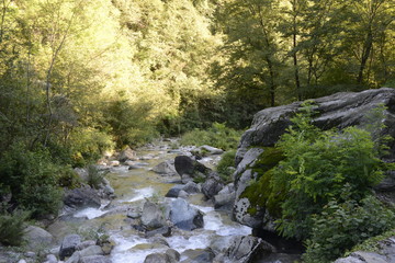tratti di natura