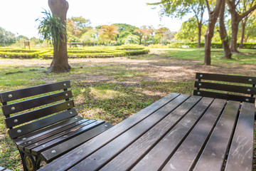 Bench and table in park