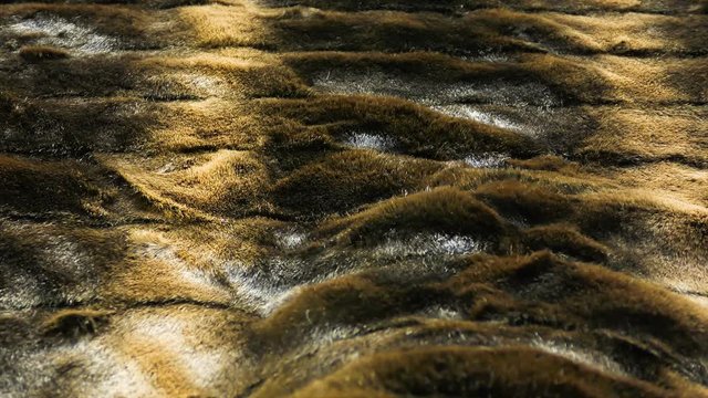 Brown faux or artificial fur.