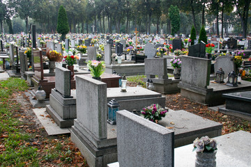 Fototapeta premium Tombstones in the cemetery