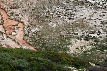 Aussicht vom Gipfel, Kap der Guten Hoffnung, Südafrika