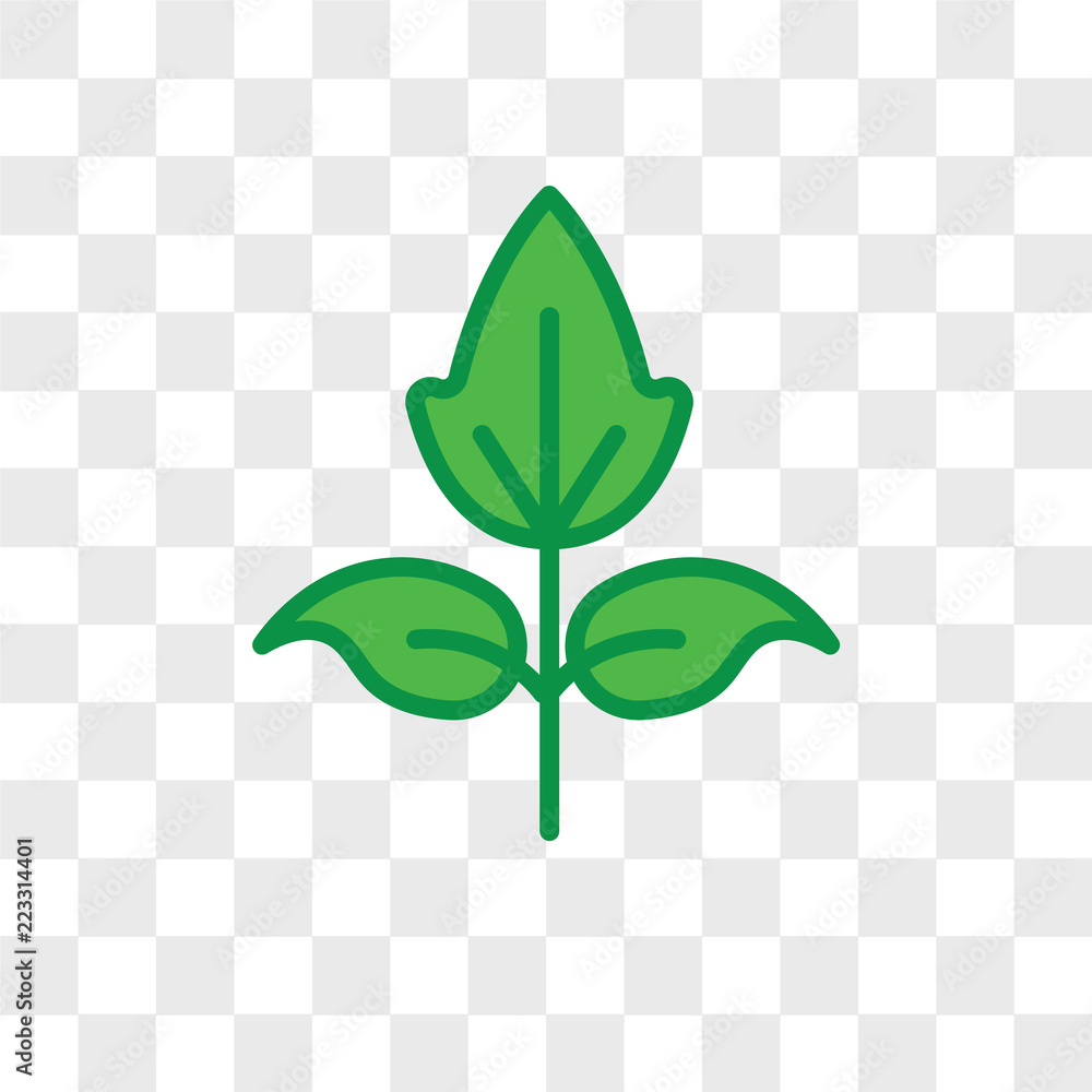 Poster raspberry leaf vector icon isolated on transparent background, raspberry leaf logo design