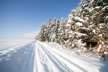 Countryside road through winter field with forest. Winter snow landscape