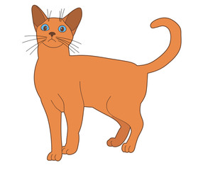 vector, isolated brown cat on a white background
