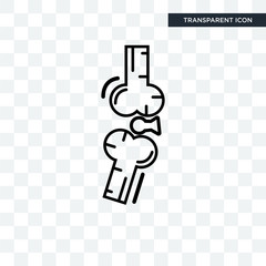 Bones Joint vector icon isolated on transparent background, Bones Joint logo design