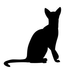  silhouette of a cat on a white background