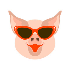 pig in the glasses face  vector illustration flat 