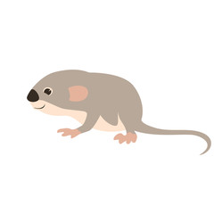 small mouse    vector illustration flat style  profile 