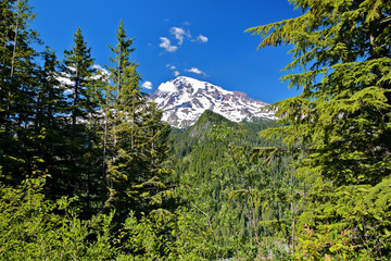 Mount Rainier on a Sunny Day