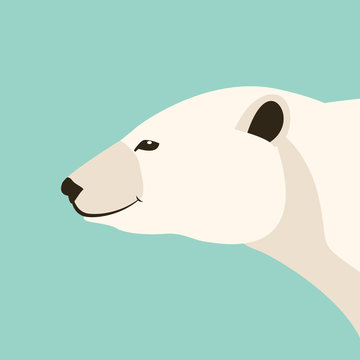 polar bear head    vector illustration flat style  profile 
