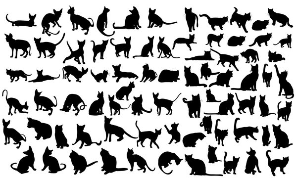  silhouette of a cat, set