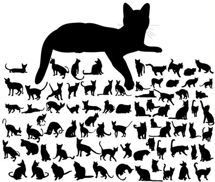 cat silhouette on white background, set