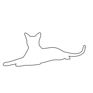 recommend clip art:  isolated, outline cat, icon