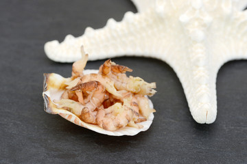 north sea crabs in the shell  on black slate