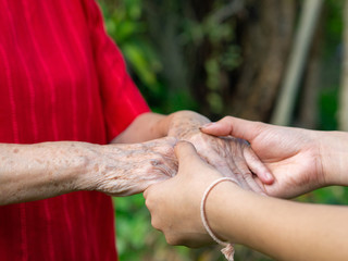 Close-up picture of a young woman's hands holding an elderly female's hands.