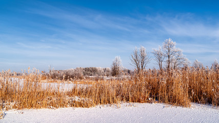 Biebrzański Park Narodowy zimą