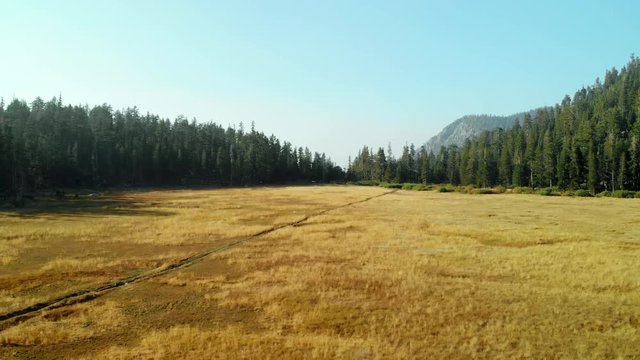 Aerial decent into a yellow dry grassy meadow in the high sierras