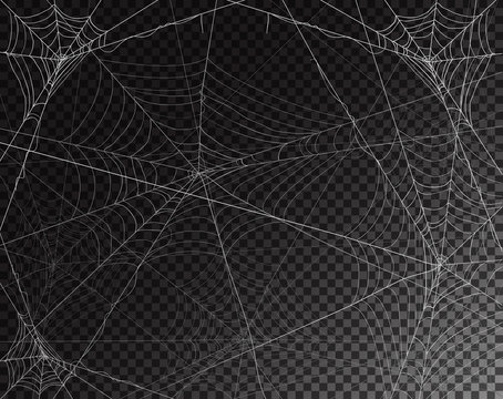 Black transparent background for Halloween with spiderwebs
