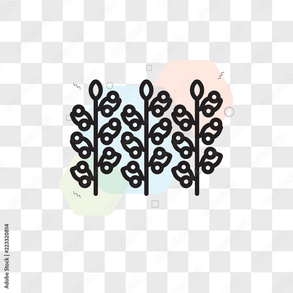 Poster grapevine vector icon isolated on transparent background, grapevine logo design