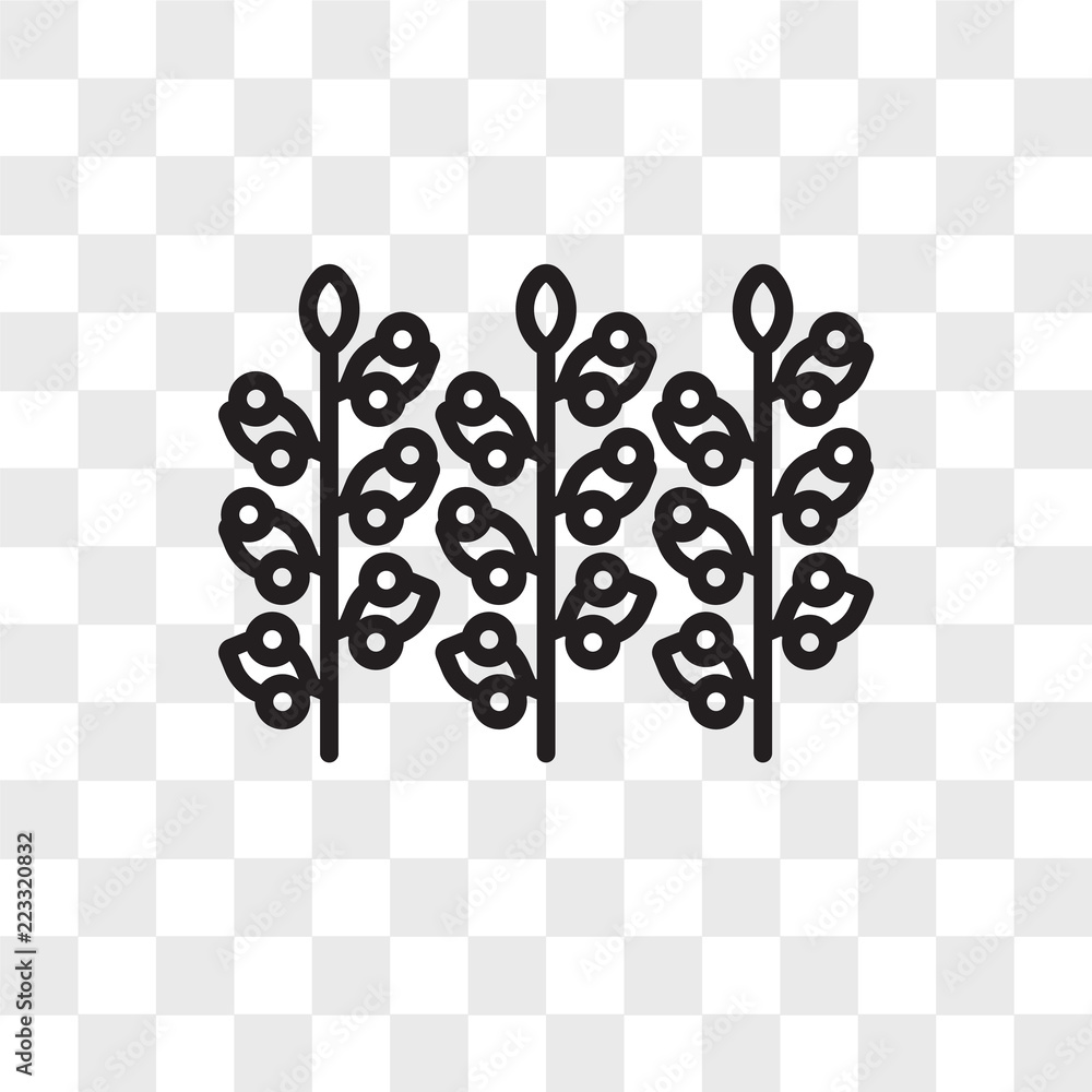 Poster grapevine vector icon isolated on transparent background, grapevine logo design