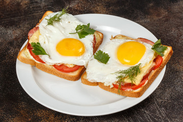 Sandwich with cheese, bacon, tomato and fried egg on plate