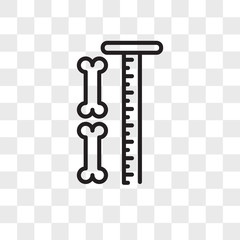 Bone vector icon isolated on transparent background, Bone logo design