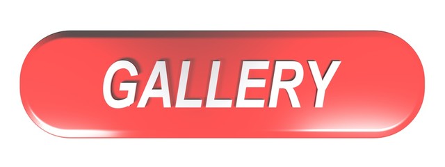 Red rounded rectangle push button GALLERY - 3D rendering