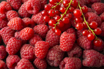 Background of raspberries and red currants. Fresh berries closeup. Top view. Background of red berries. Various fresh summer fruits. 