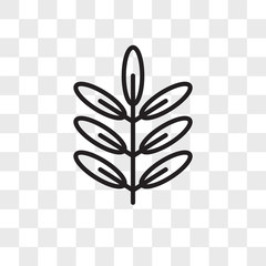 Acacia vector icon isolated on transparent background, Acacia logo design