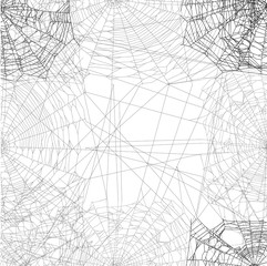 dense grey spider square web