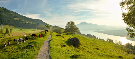 Fototapeten Panoramic view on beautiful Lake Lucerne in Switzerland © Michal