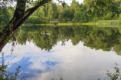 A Tree With A Rope For Jumping Into The Lake Rope Swing