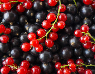 Background of black and red currants. Fresh berries closeup. Top view. Background of fresh berries. Various fresh summer fruits. Red and black food.